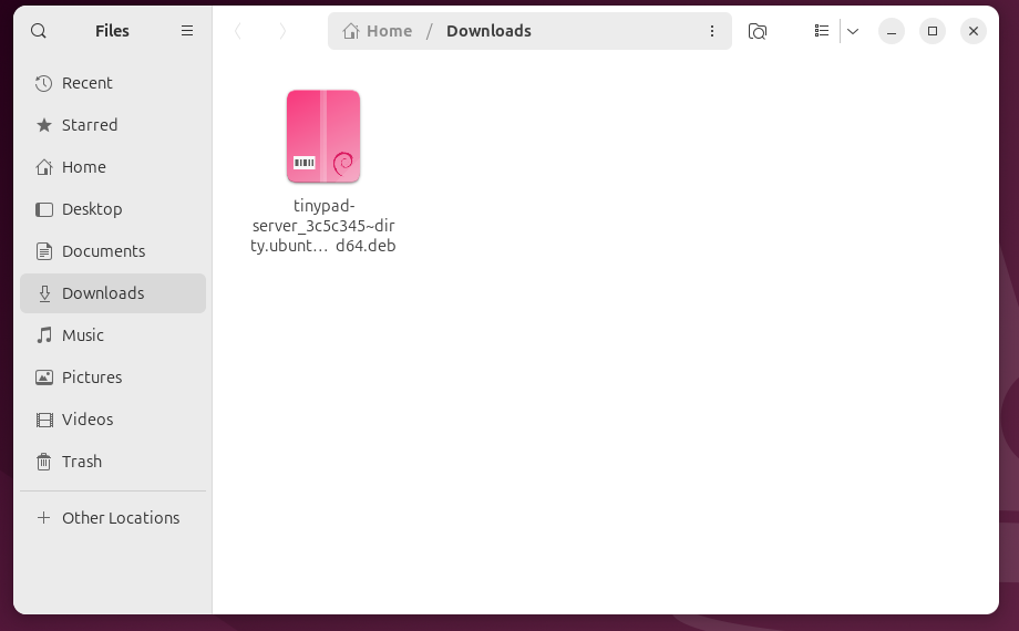 The Tiny Pad .deb package shown in the Files app Downloads folder