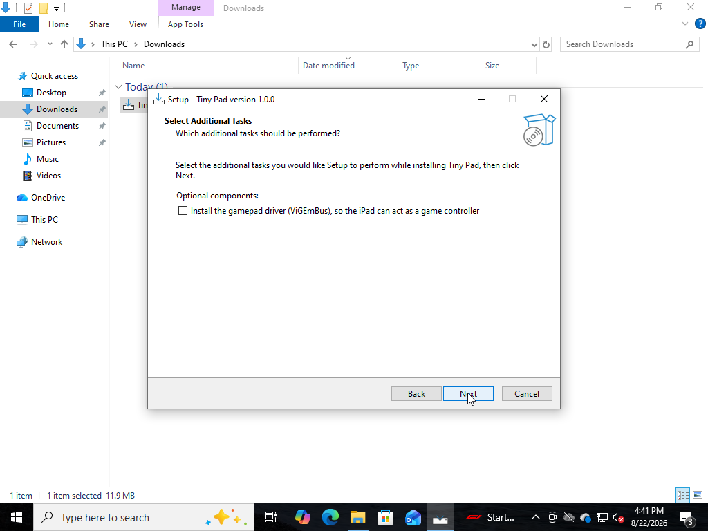 Select Additional Tasks page with the unticked option to install the ViGEmBus gamepad driver